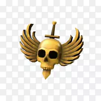 头盖骨-空若网 头盖骨-空若网