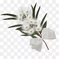 花卉设计花束切花-空若网 花卉设计花束切花-空若网