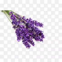 Ӣ��޹�²�����ˮ��ζ-������