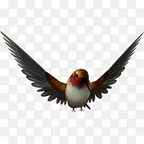 ͼ��ֱ��ʼ�������-������