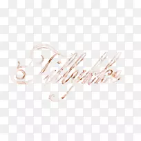 车身珠宝银耳字体-银-空若网 车身珠宝银耳字体-银-空若网