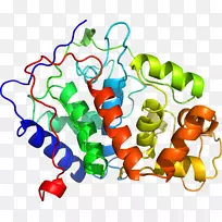 蔬菜有机体系列剪贴画-蔬菜-空若网 蔬菜有机体系列剪贴画-蔬菜-空若网
