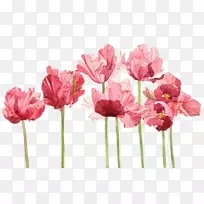 ˮ�ʻ�������ˮ�ʻ�����������-������