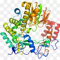 ���߼�����-��-������