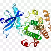 �����߶����������-������