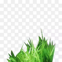 草-空若网 草-空若网