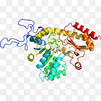 �ߵ������������-������