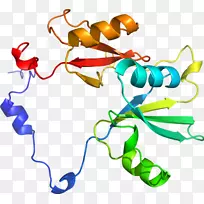 人体首饰有机体线剪贴画线-空若网 人体首饰有机体线剪贴画线-空若网