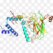 �ߵ�ƽ����Ƽ�������-������