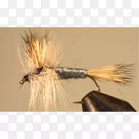 昆虫人工蝇-空若网 昆虫人工蝇-空若网