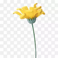 切花,花园,玫瑰,剪贴画-花-空若网 切花,花园,玫瑰,剪贴画-花-空若网