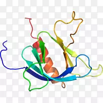 直线点植物茎夹艺术线-空若网 直线点植物茎夹艺术线-空若网