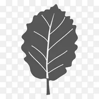 樱花酸樱桃-空若网 樱花酸樱桃-空若网