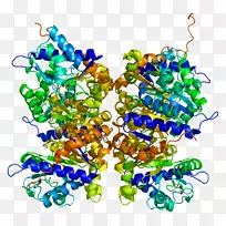 珠宝首饰剪贴画.珠宝-空若网 珠宝首饰剪贴画.珠宝-空若网