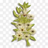 花卉设计切花植物-空若网 花卉设计切花植物-空若网