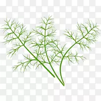 蘑菇下载剪贴画-绿色,新鲜草-空若网 蘑菇下载剪贴画-绿色,新鲜草-空若网