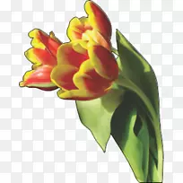 �����㻨������-������-������