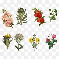 花卉设计切花玫瑰花-空若网 花卉设计切花玫瑰花-空若网