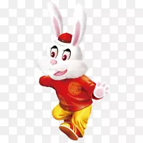 兔子复活节兔子新年快乐博客-兔子-空若网 兔子复活节兔子新年快乐博客-兔子-空若网
