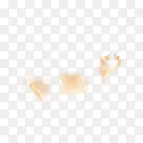 桌面壁纸鼻子近距离电脑壁纸鼻子-空若网 桌面壁纸鼻子近距离电脑壁纸鼻子-空若网