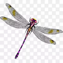 ���Ѽ�����-���������ѳ��-������