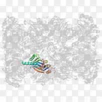 Ь¿¨Í¨Ê÷×ÖÐÍÊ÷-¿ÕÈôÍø Ь¿¨Í¨Ê÷×ÖÐÍÊ÷-¿ÕÈôÍø