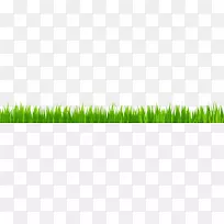 �����ɫ��Դֲ�ﾥ��ֽ��-������