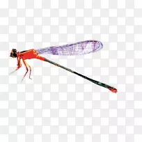 ��������ͼ��-����ͼƬ-������