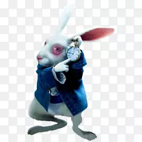 白兔爱丽丝在仙境中的冒险奇幻猫红心后-毛毛虫-空若网 白兔爱丽丝在仙境中的冒险奇幻猫红心后-毛毛虫-空若网