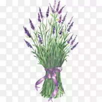 ޹�²ݻ�������-��-������