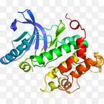 人体珠宝蔬菜有机体系列剪贴画-蔬菜-空若网 人体珠宝蔬菜有机体系列剪贴画-蔬菜-空若网