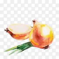 ºìÑó´ÐË®²Ê»-Ñó´Ð-¿ÕÈôÍø ºìÑó´ÐË®²Ê»-Ñó´Ð-¿ÕÈôÍø