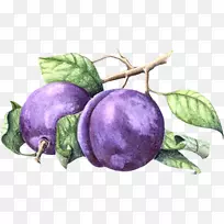 拉果酱-空若网 拉果酱-空若网