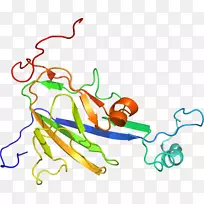 �ߵ�������������-������