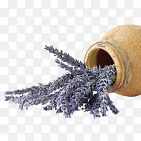 英国薰衣草花坛-花-空若网 英国薰衣草花坛-花-空若网
