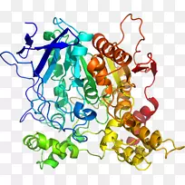 �ߵ������-��-������