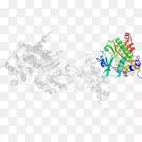 �����-������