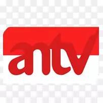 ��׿�����ʴ�-������