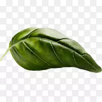 叶菜叶-空若网 叶菜叶-空若网