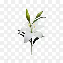 切花,人造花,百合,念珠菌花环-空若网 切花,人造花,百合,念珠菌花环-空若网