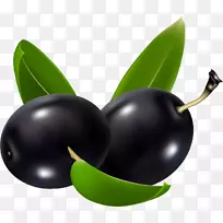 标签水果设计-空若网 标签水果设计-空若网