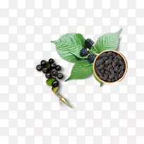 �������ݮ��������ݮ��-������