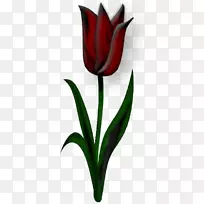郁金香插花艺术-深红色郁金香-空若网 郁金香插花艺术-深红色郁金香-空若网