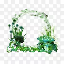 中心博客相框-空若网 中心博客相框-空若网