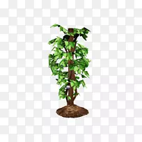 番茄汤西瓜茄子蔬菜-番茄-空若网 番茄汤西瓜茄子蔬菜-番茄-空若网