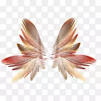 ���ؼ�����-������