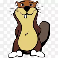 胡须猫海狸鼻子夹艺术猫-空若网 胡须猫海狸鼻子夹艺术猫-空若网