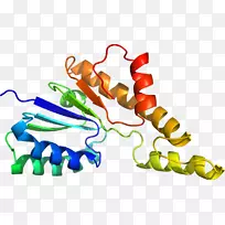 人体首饰有机体线剪贴画线-空若网 人体首饰有机体线剪贴画线-空若网