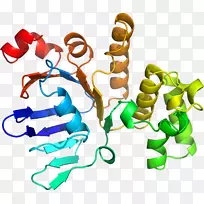 人体珠宝剪贴画.设计-空若网 人体珠宝剪贴画.设计-空若网