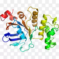 人体首饰有机体线剪贴画线-空若网 人体首饰有机体线剪贴画线-空若网